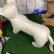 画像5: ［送料無料］ 型紙　ねこ　トルソー　魚型付き
