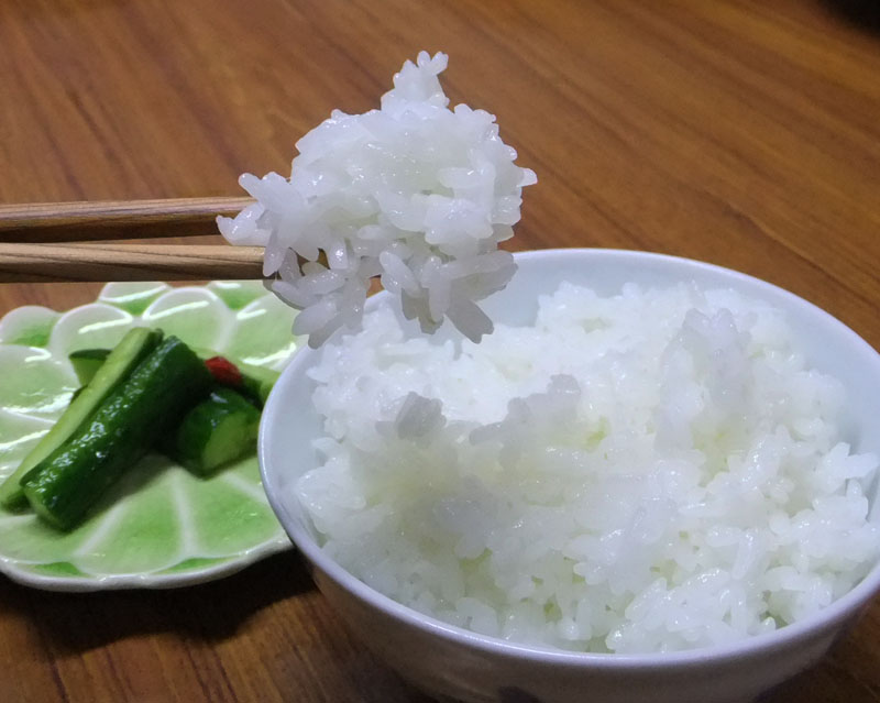 美味しいお米 森のくまさん 熊本県産米 玄米３０ｋｇ